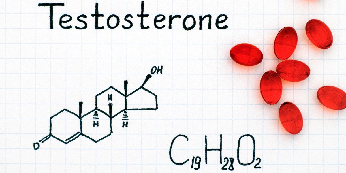 Image result for Testosterone Therapy (Continued) - The Dangers of Bad Estrogen